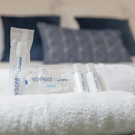 Apartment Le Monkey - 700m Gare - Wifi Laval (Mayenne)